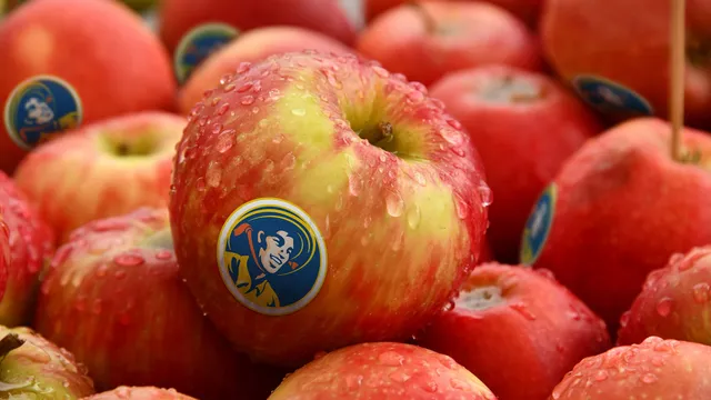 Farmers Market Rebranding